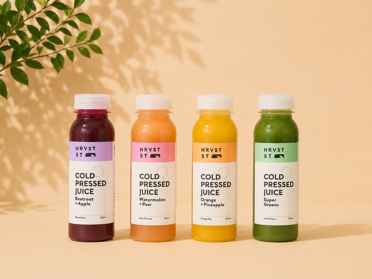 Cold Pressed Jusice Box